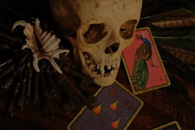 Totenschädel, Schlüssel, Muschel, Tarotkarten