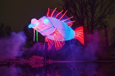 Walking Act Fisch