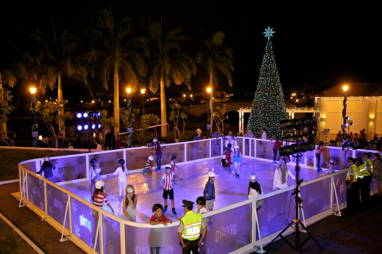 Eisbahn mit Tannenbaum