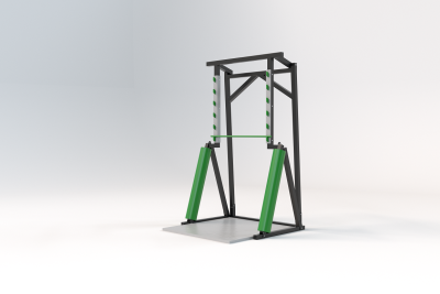 Salmon Ladder