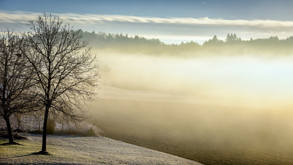 Winterlandschaft mit Baum