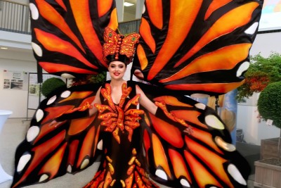 Schmetterling-Walk-Act